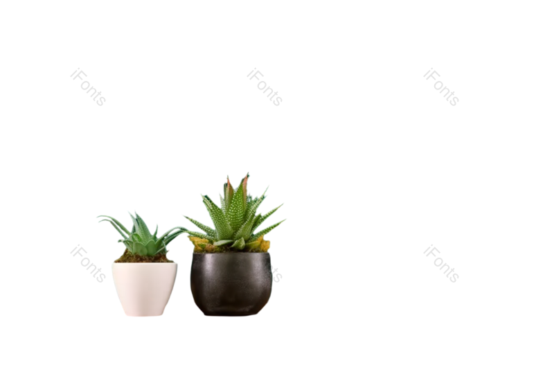 清新图片,学习元素,教室PNG,花盆免抠素材